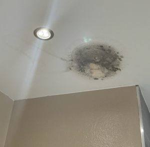 ceiling-water-leak